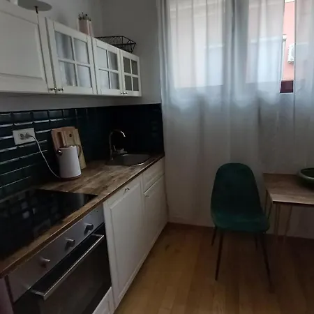 Apartment Centar Sa Rahatluk *